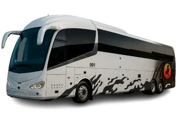 Bus Pullman